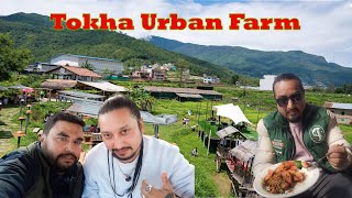 Tokha  Urban farm vlog with my  frends #local #food