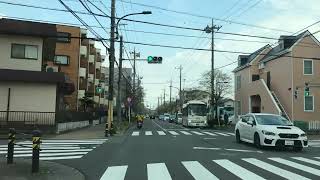 ウェザーリポート動画0402@国立（15:20頃、東向き、晴れ）