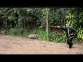 劉莉莉國際鷹爪國術總會 - Lily Lau Eagle Claw Kung Fu - TAO - Centro de Cultura Oriental