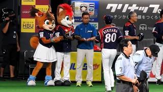 ＜2017.8.16ロッテ戦＞メンバー表の受け取り役を見習いフレップ君に譲ったポリーちゃん