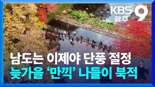 남도는 이제야 단풍 절정…늦가을 ‘만끽’ 나들이 북적 / KBS  2024.11.16.