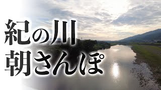 【紀の川朝さんぽ】和歌山県橋本市の紀の川沿い遊歩道をただ歩くだけ！！【ドラレコもあるよ！】