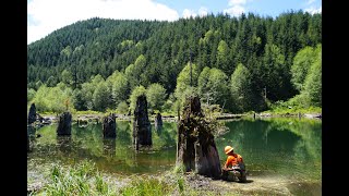 Seismic vs hydrologic triggering of landslide dams in the Oregon Coast Range