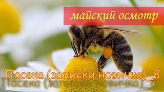 майский осмотр семей