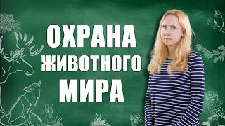 Правовая охрана использования животного мира