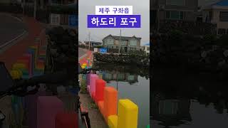 제주도 구좌읍 하도리 포구, 작고 아담하고 예쁜 포구