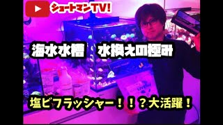 ショートマンTV!!海水水換えの極み‼︎PART②