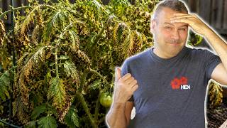 7 Fertilizer Mistakes That are Killing Your Garden