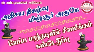 மீஞ்சூர் |அருகே நடைபெற்ற அதிசய நிகழ்வு |வேப்ப மரத்தடியில் சிவலிங்கம் கண்டெடுப்பு #சிவசிவ #சிவலிங்கம்