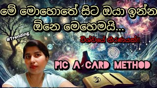 මේ මොහොතේ සිට ඔයා ඉන්න ඕනෙ මෙහෙමයි...