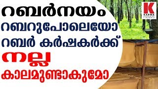 റബര്‍നയം റബറുപോലെയോ റബര്‍ കര്‍ഷകര്‍ക്ക് നല്ല കാലമുണ്ടാകുമോ_Karma News