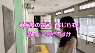 【新潟の方言】新潟弁の定番「なじらね」（いかがですか）