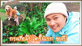 ครั้งแรกของปี|ไปเก็บใบกระเทียมป่าอังกฤษบนเขาหลังบ้าน เยอะมาก