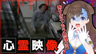 【ホラー】閲覧注意！恐怖映像を見たらヤバすぎた！