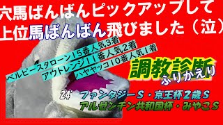 【調教診断振り返り　ファンタジーＳ・京王杯２歳Ｓ・AR共和国杯・みやこＳ】いい穴馬見つけてますよっ☆その代わり…