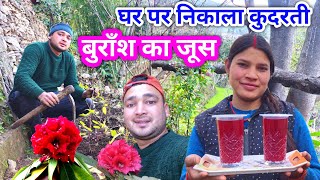 Husband जी ने की गाँव में वृक्षारोपण की शुरुआत 🌴 || Vriksharopan || Tree Plantation | Lifestyle Vlog