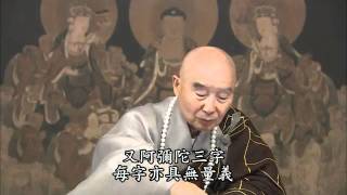 《淨土大經解演義》第３１７集(有字幕) 淨空法師2010第11次宣講無量壽經