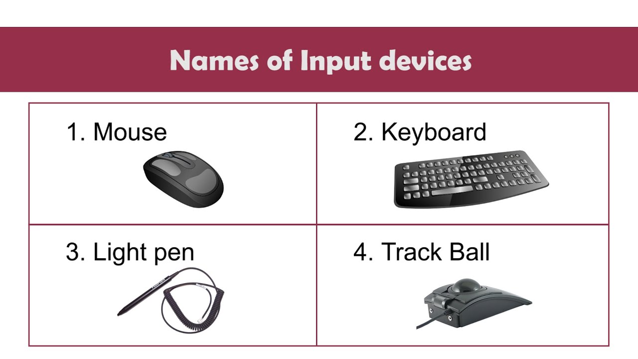 Computer Input Devices Pictures With Names