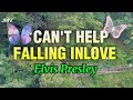 🔴 CAN'T HELP FALLING INLOVE -ELVIS PRESLEY #karaoke #lyrics Cover by JMV