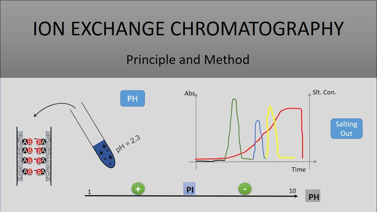 The Principle Of Ion Exchange Chromatography, A Full Explanation - YouTube