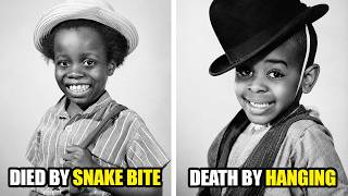 The Little Rascals (Our Gang) Cast Then & Now — Their Tragic Final Years