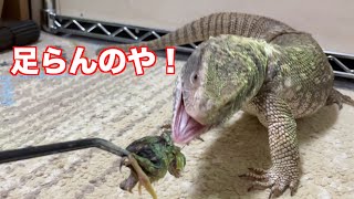 【食べ放題】サバンナモニターにひなうずらを与えたら足りなかったらしい