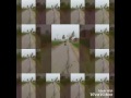 Scooter by harsimran