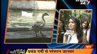 Surat: Rise in temperature creates issues for wildlife in Zoo