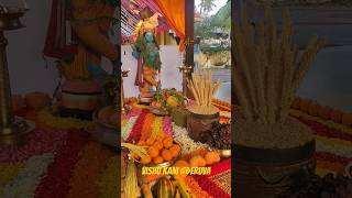 Vishu Kani @ Eruva #temple #festival#keralaculture #vishu #2024 #whatsappstatus #viral #trending