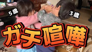 【5歳３歳二歳差姉弟】実家に来てまでしょうもない喧嘩をしなさんなwww