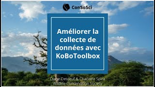 Formation KoBoToolbox en Français