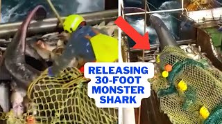 Fishing Boat Catches 30-Foot Monster Shark 😮🦈