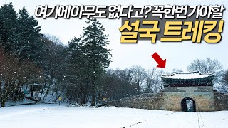 이른 아침 나홀로 즐기는 이국적인 설국 트레킹 코스 | 국내여행 | 조령산자연휴양림 | 충북 괴산