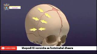 मानव खोपड़ी के अनसुने रहस्य | The untold mysteries of the human skull