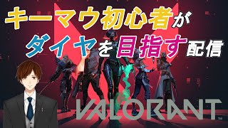 【VALORANT】キーマウ初心者の成長日記【5日目】