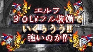 【城ドラ実況】【城とドラゴン】エルフ30フル装備がいくぅ！果たして強いのか！？