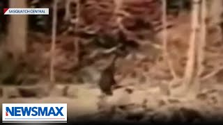 NEW sighting of Bigfoot raises a few questions | Eric Bolling The Balance
