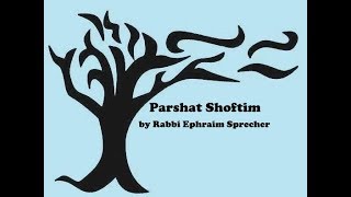 Parshat Shoftim 5778 - Aug 16, 2018