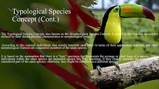 Species Concepts, Part One, Morphological or Typological Species Concept