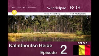 BOS Wandelroute - Kalmthoutse Heide