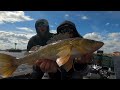 pounding green bay walleyes in 30mph winds