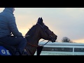 Pioneer Horse Racing Promotional Video