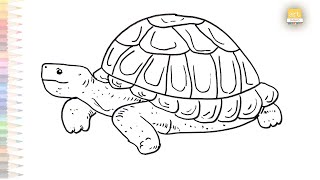 Common Tortoise drawing | How to draw A Tortoise step by step | Tortoise drawing tutorials
