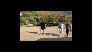 公園を散策する女装おじさん①　#Shorts