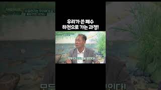 우리가 쓴 물은 다 어디로 갈까? #폐수 #수질 #환경오염 #shorts