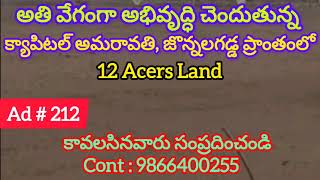 12 Acres Land is Available For Sale in Jonnalagadda Amaravati Capital | జొన్నలగడ్డ | 9866400255