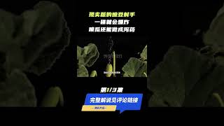 你知道植物界的喷子是谁吗？一言不合就开喷，根本不给解释的机会！(part1/3) #shorts  #自然   #植物