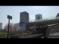 【4k動画】東京（ミッドタウン）の桜並木（桜のトンネル）六本木（朝桜）tokyo cherry blossoms