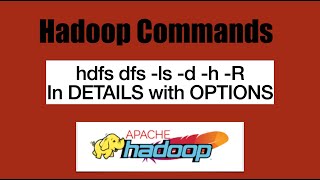 Basic HDFS Commands: hdfs dfs -ls in Details with all OPTIONS