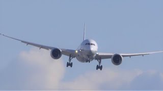 ANA JAL787-8　横風のしなり たわみが好き！ アプローチ＆テイクオフ【 伊丹空港32L 】